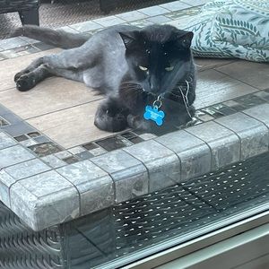 Meet your Posher, Ash